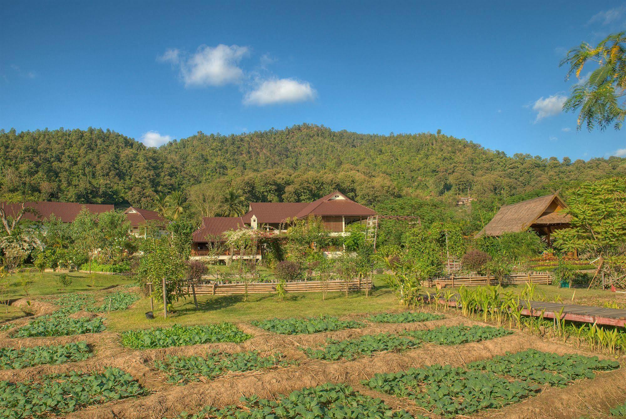 Maekok River Village Resort Mae Ai Экстерьер фото